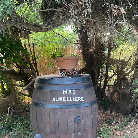 Masaupelliere La Petite Camargue *